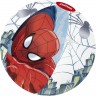 Пляжный мяч BESTWAY SPIDER-MAN 98002 51 см 98002 BW